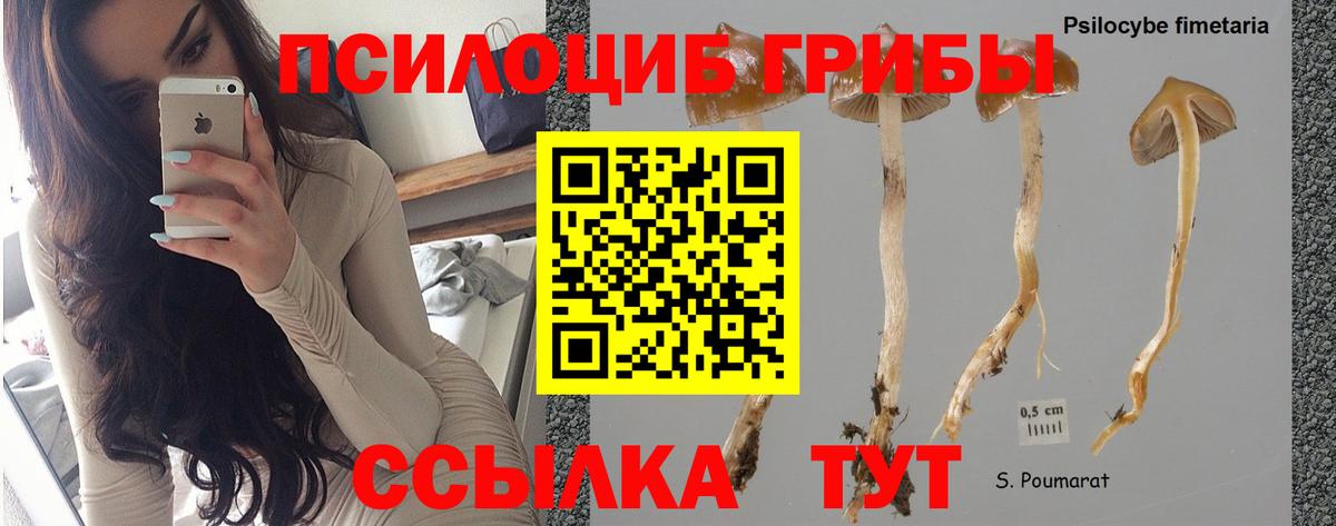 Псилоцибиновые грибы MAGIC MUSHROOMS  Вход с VPN  Галлюциногенные грибы мухоморы  Касимов 