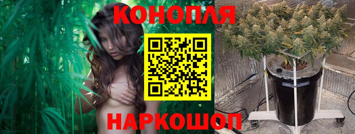 Шишки марихуана White Widow  МАРИХУАНА LSD WEED  Марихуана план  Касимов  Вход с VPN  Канабис SATIVA & INDICA 